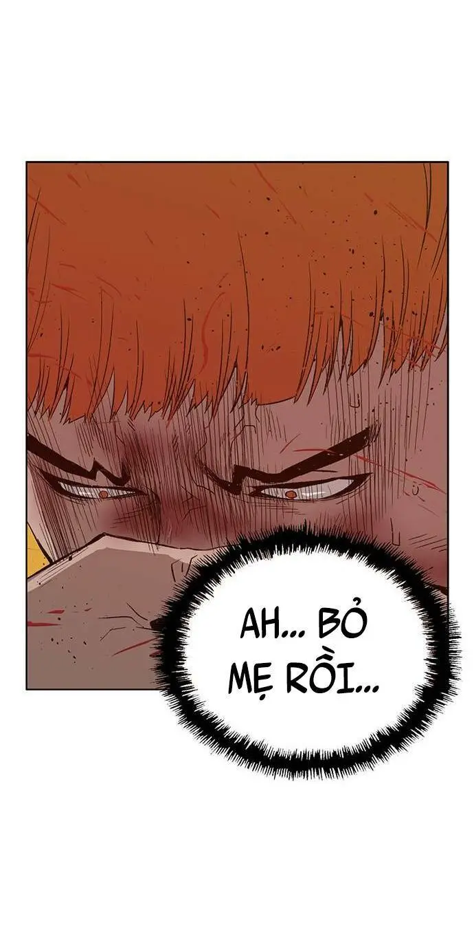 Chapter 226