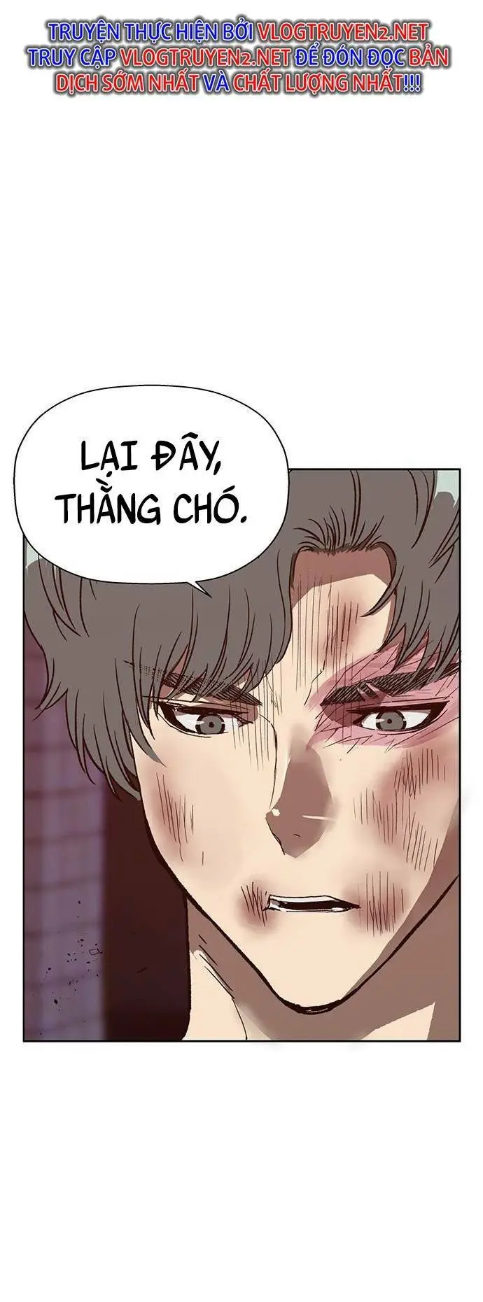 Chapter 226