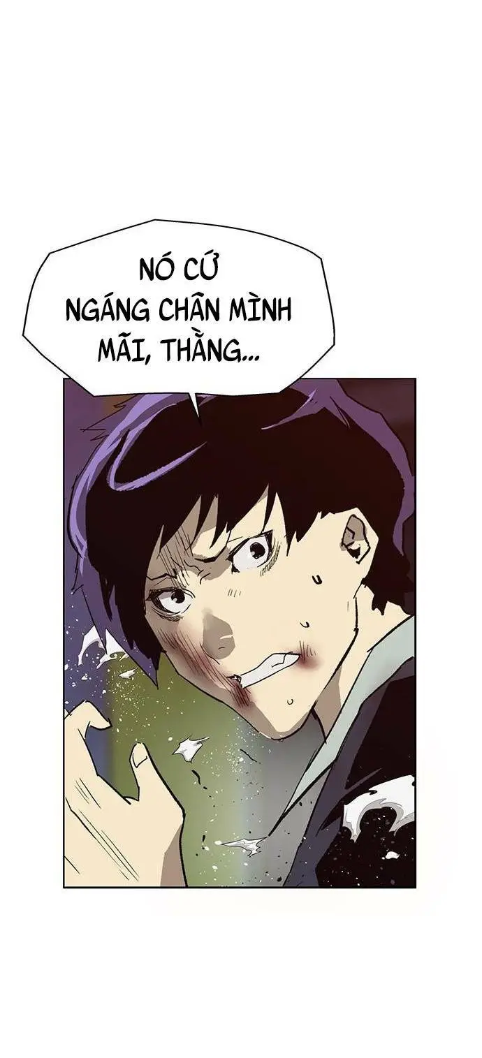 Chapter 226