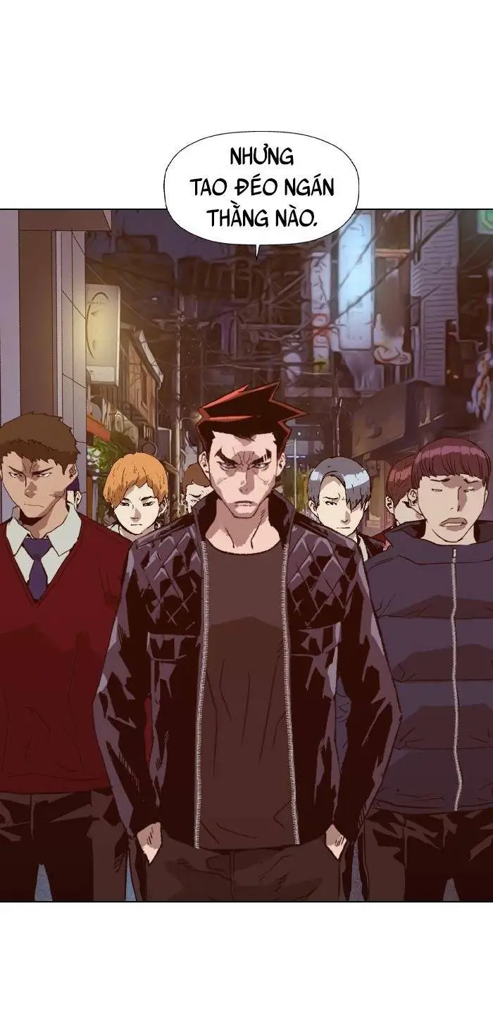 Chapter 224
