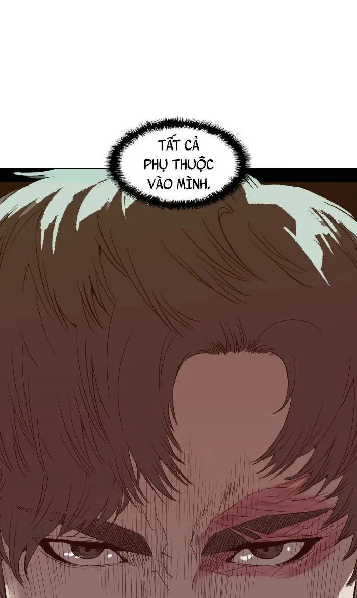Chapter 224