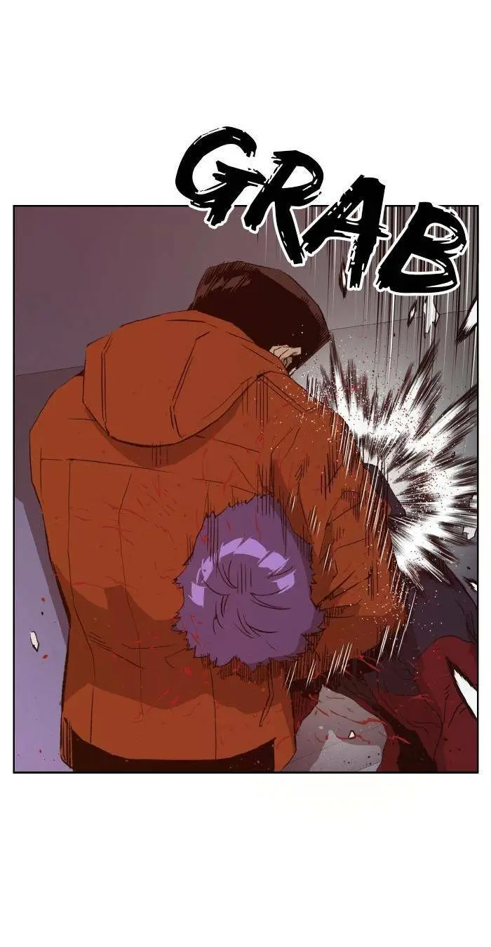 Chapter 224