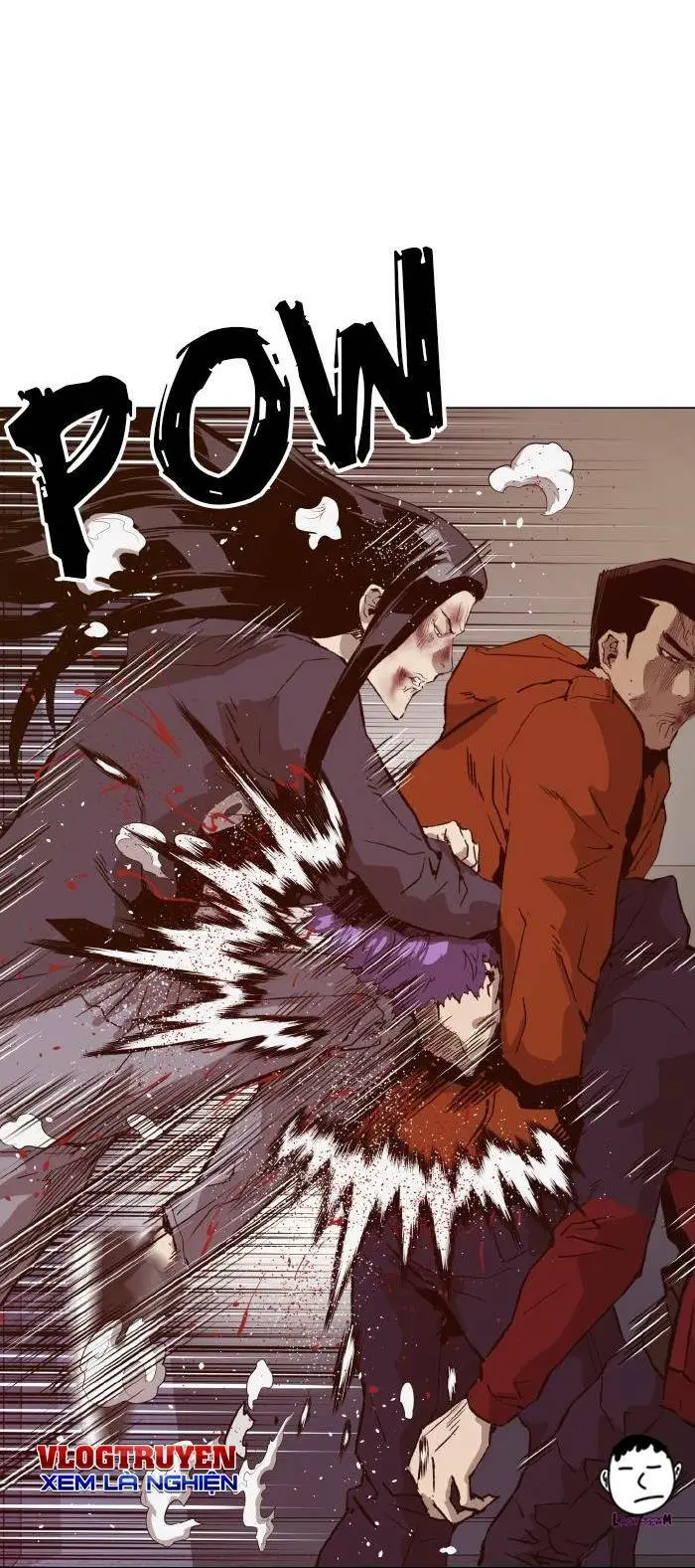 Chapter 224