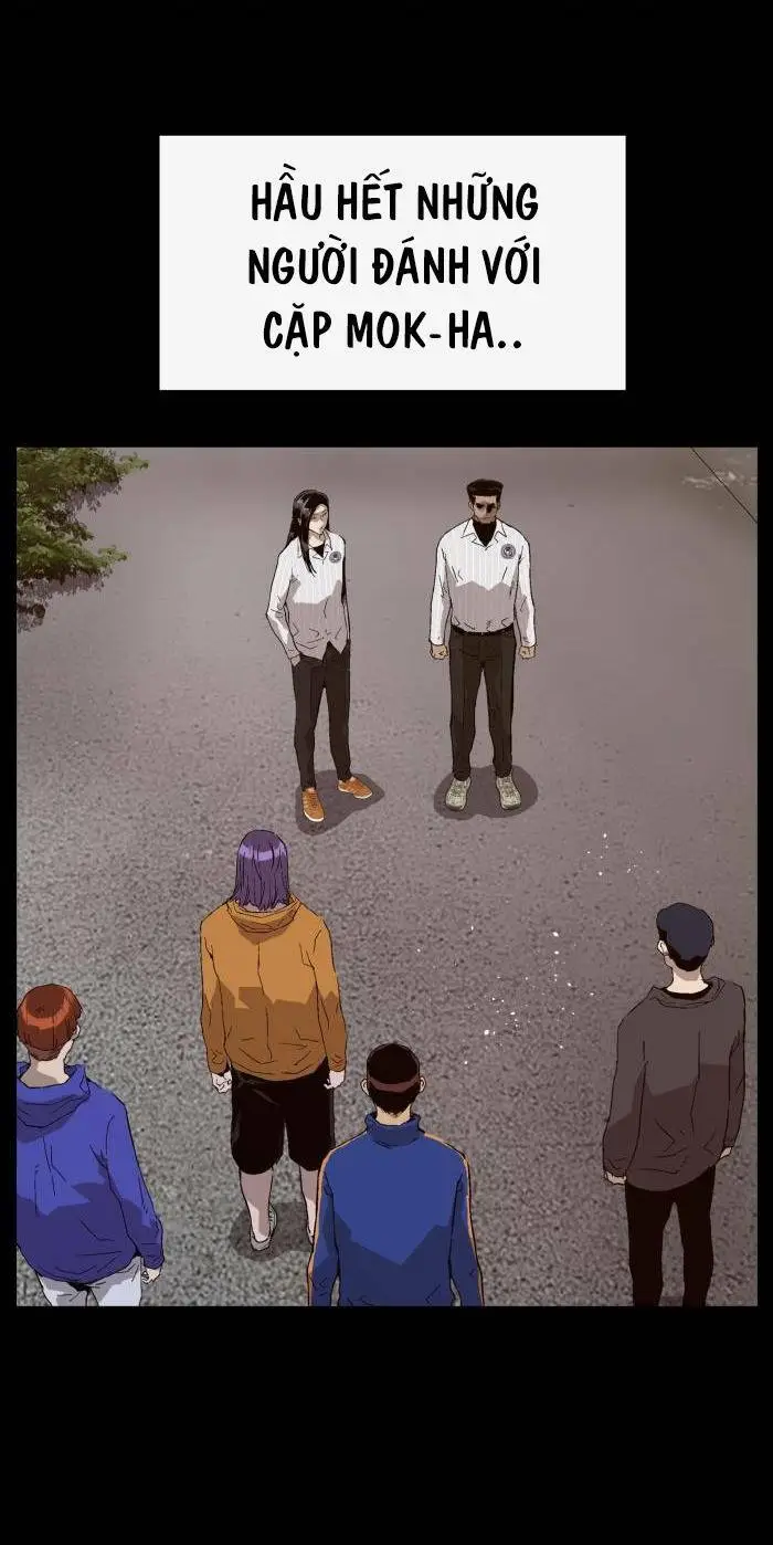 Chapter 224