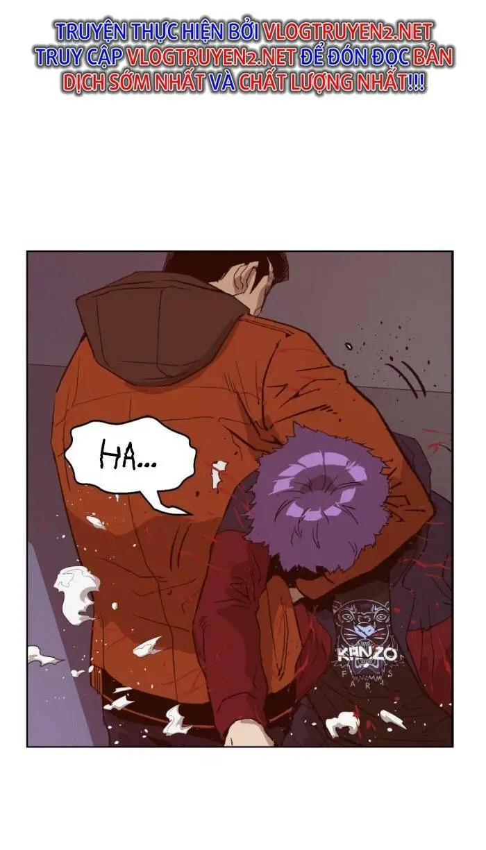 Chapter 224