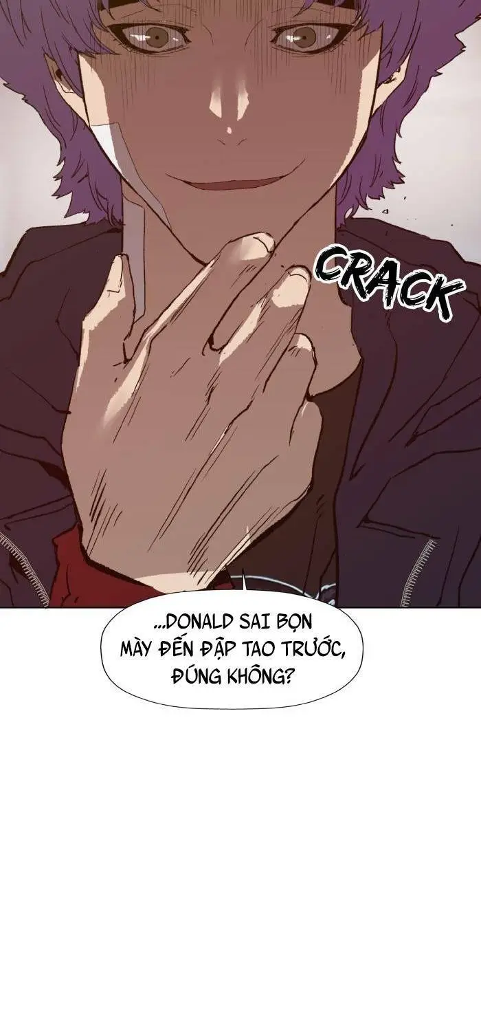 Chapter 224