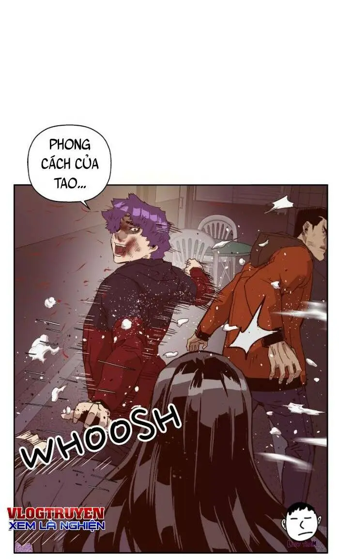 Chapter 224