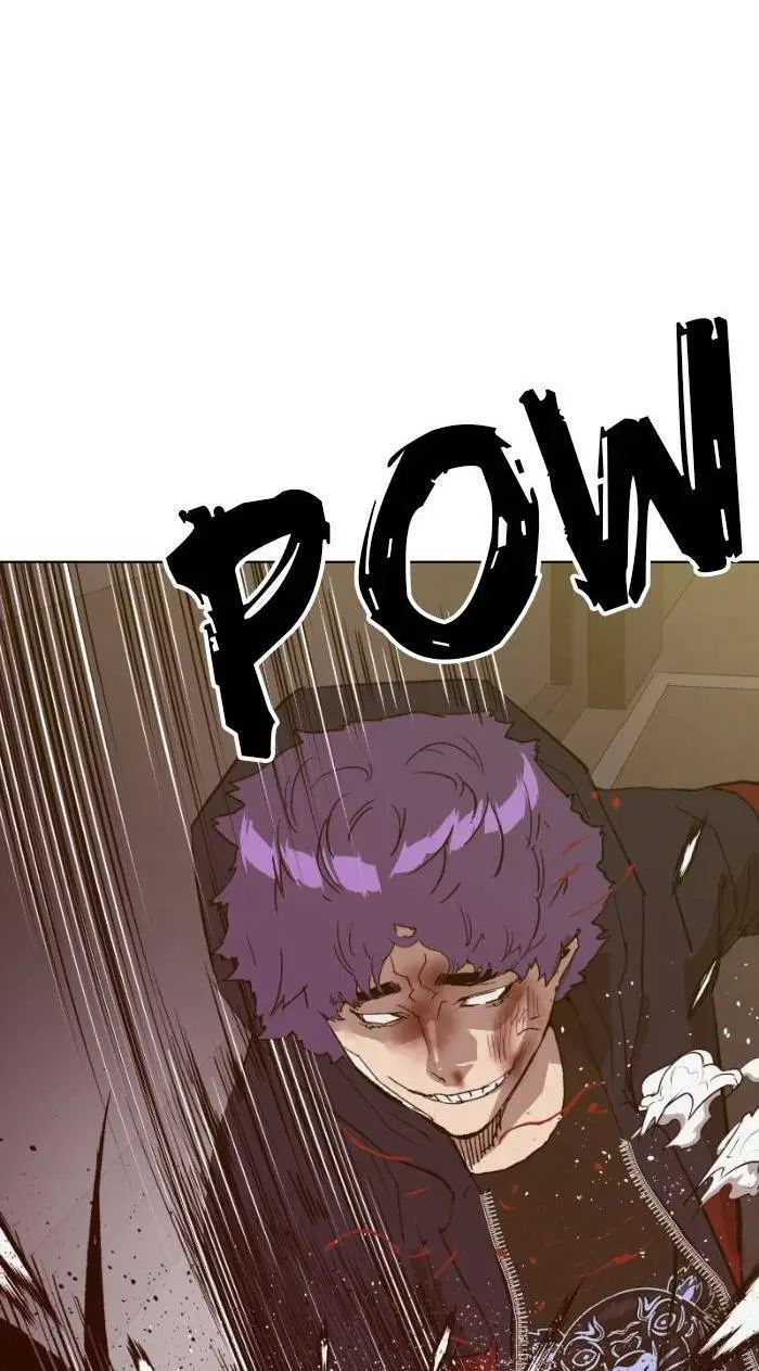 Chapter 224