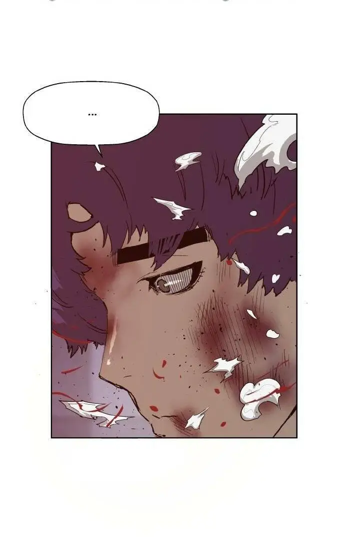 Chapter 224
