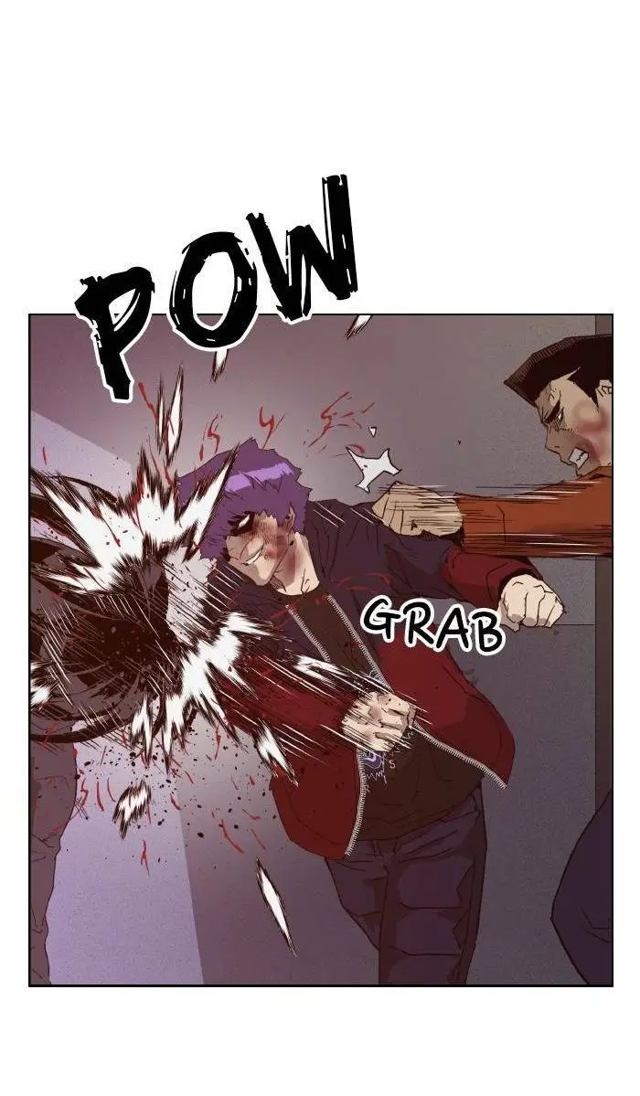 Chapter 224