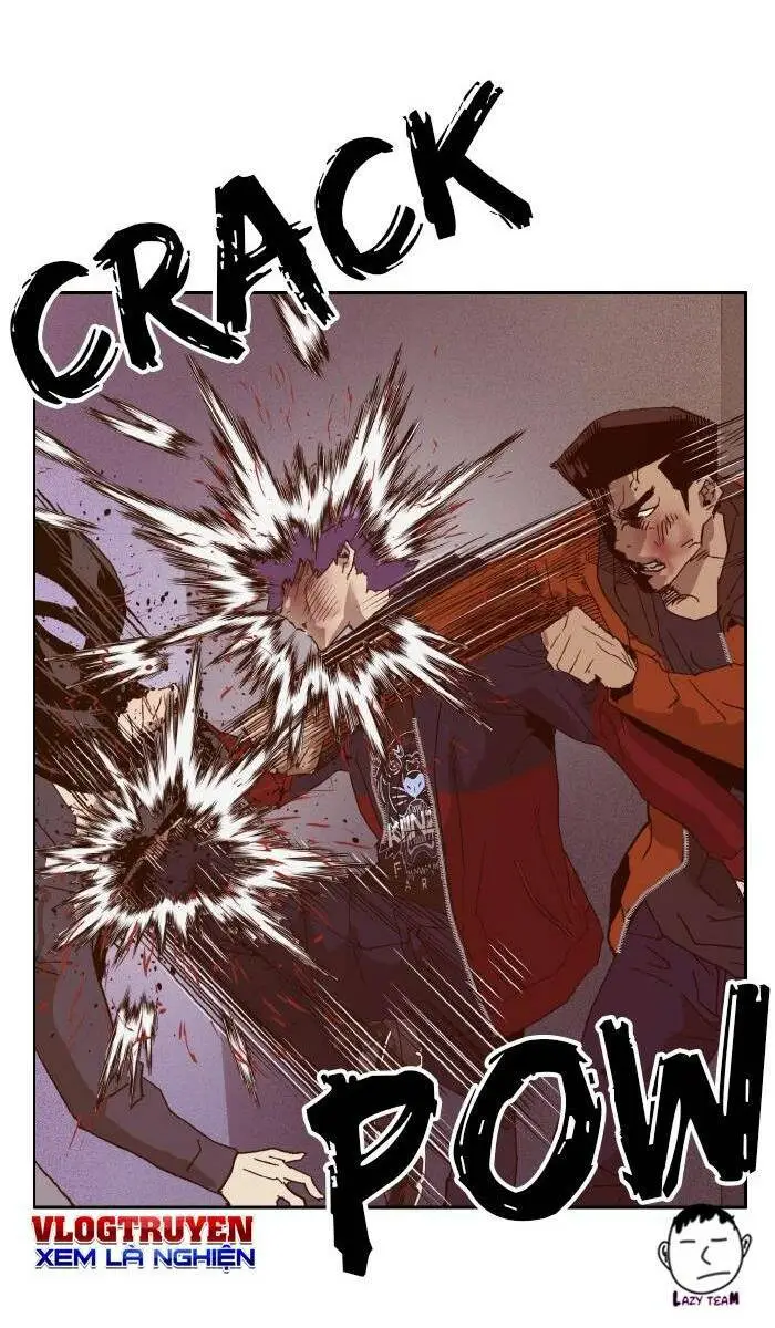 Chapter 224