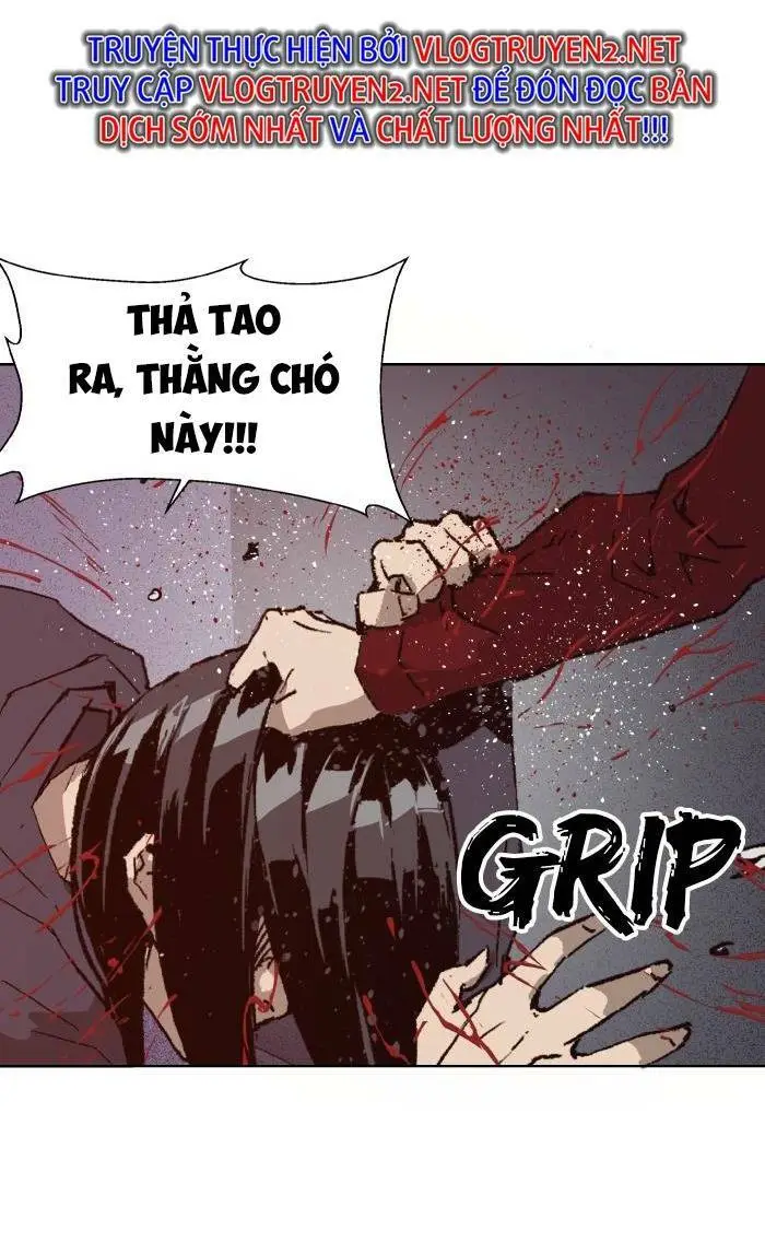 Chapter 224