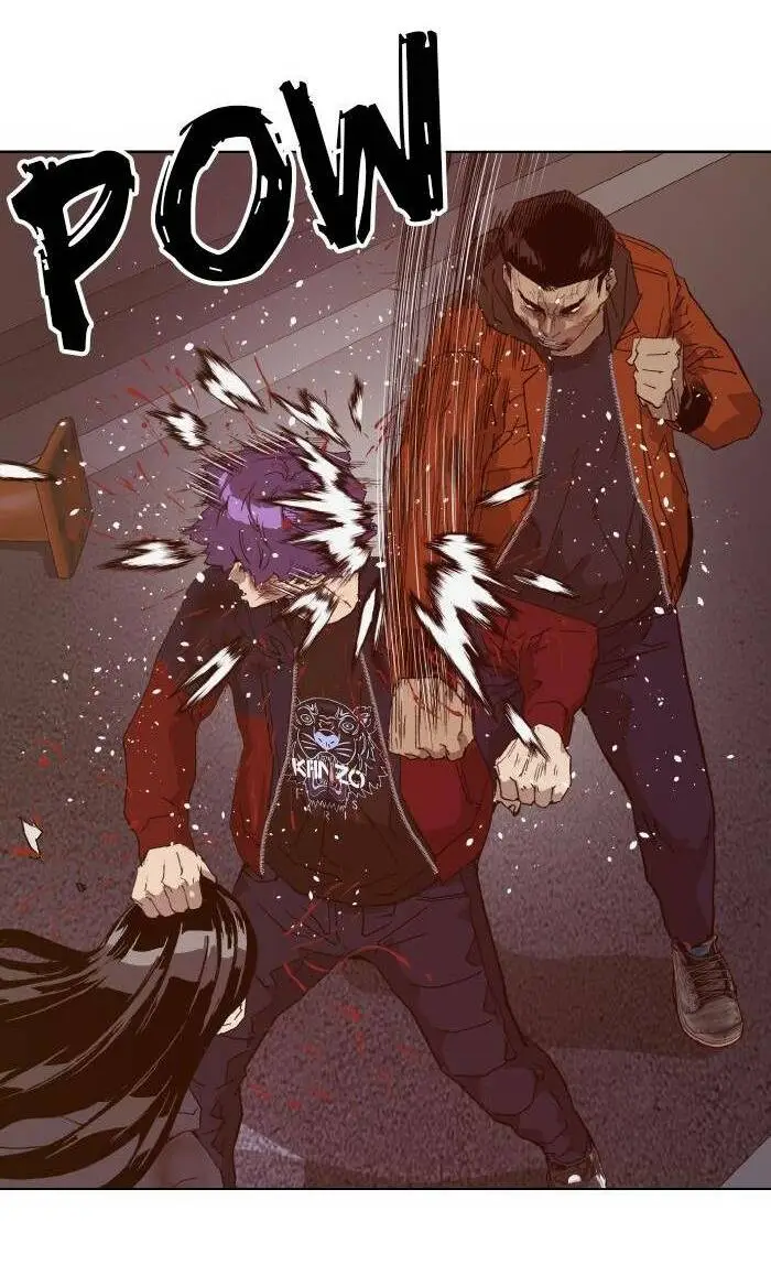 Chapter 224