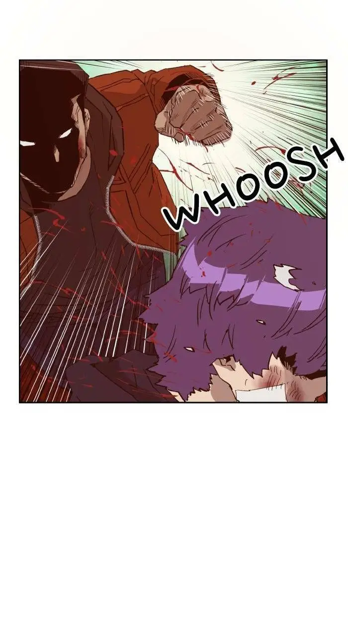 Chapter 224
