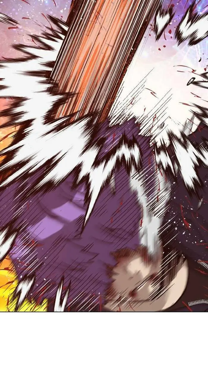 Chapter 224