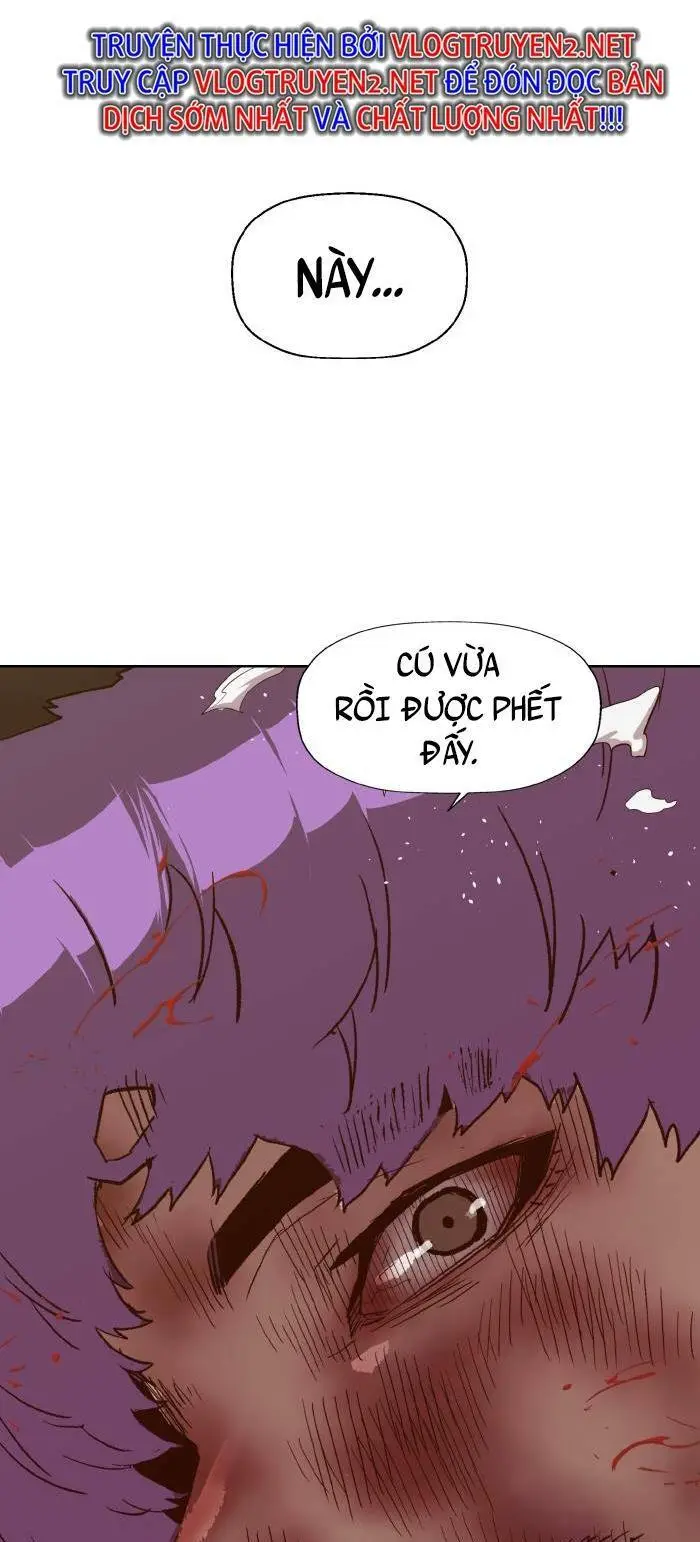 Chapter 224