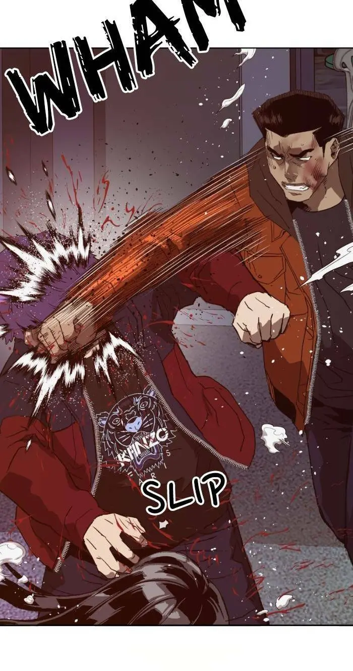 Chapter 224