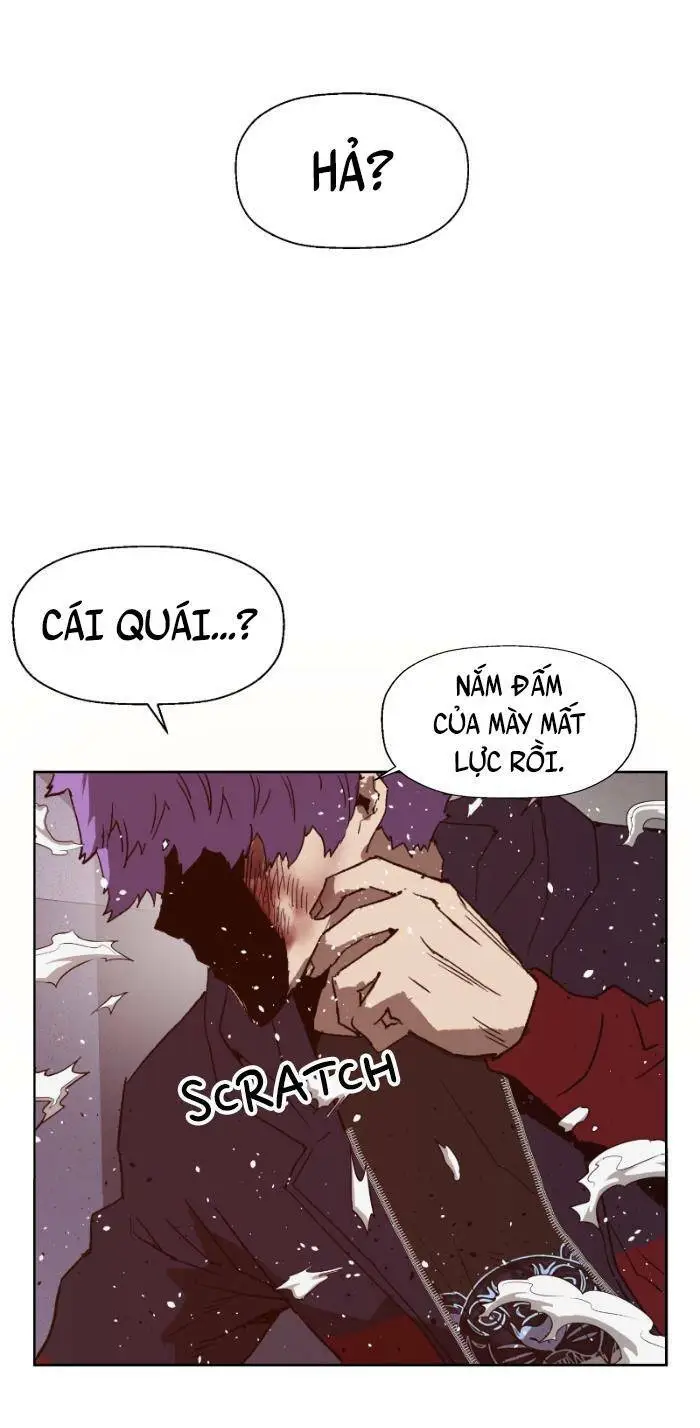 Chapter 224
