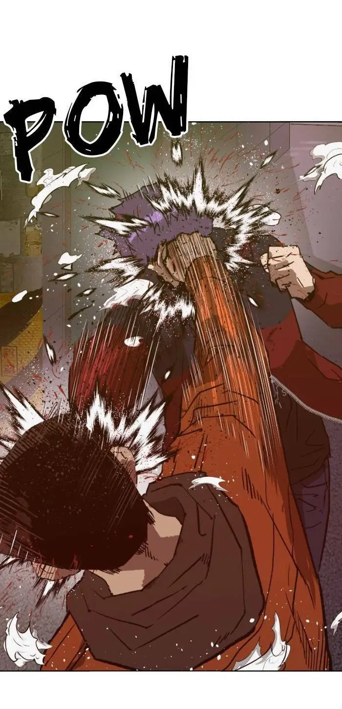 Chapter 224