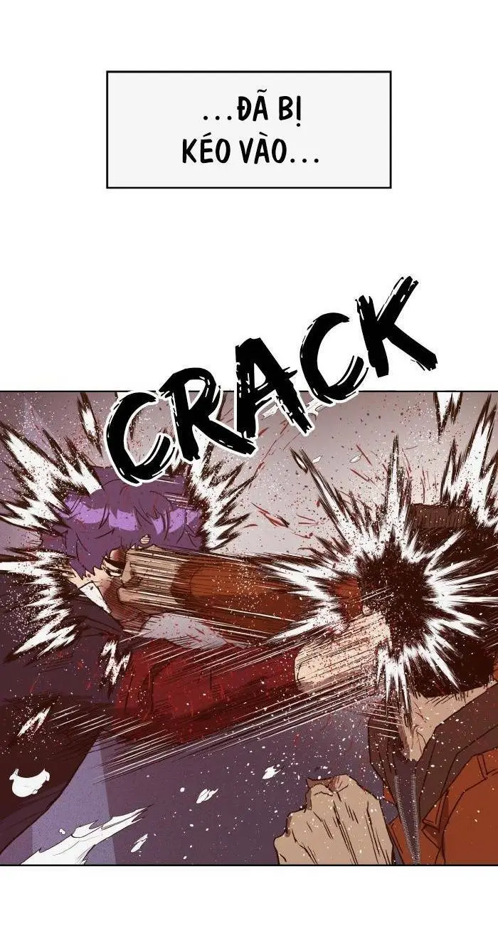 Chapter 224