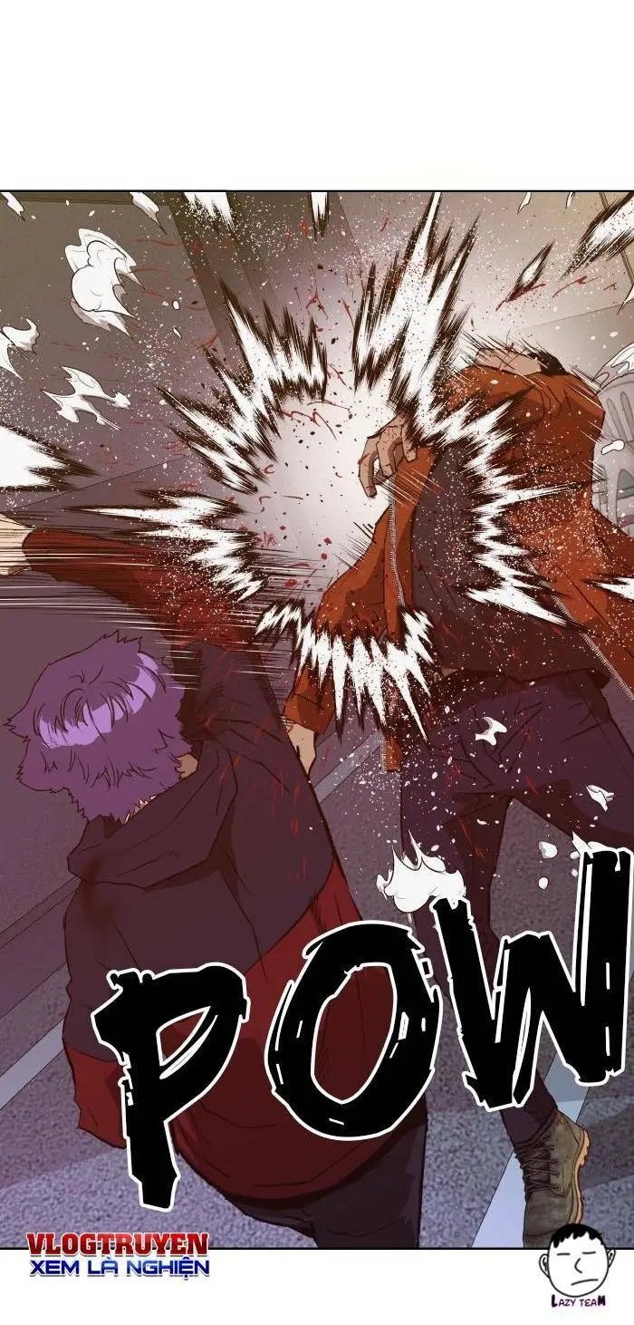 Chapter 224
