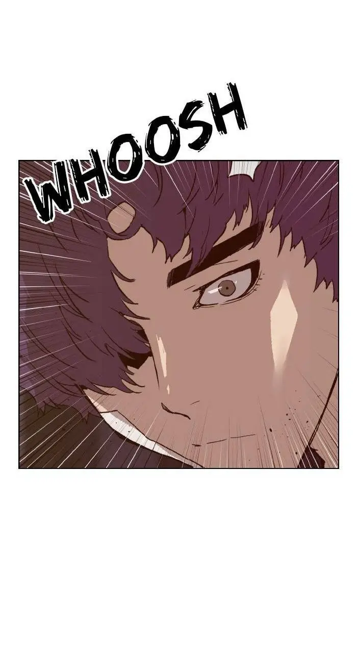 Chapter 224