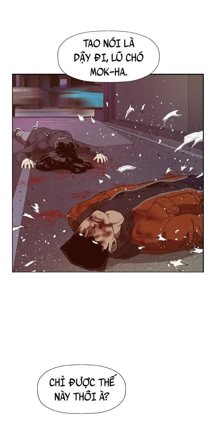Chapter 224
