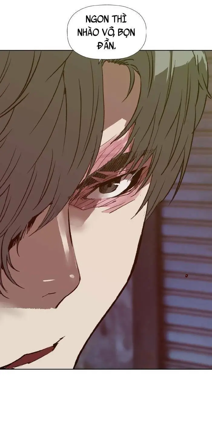 Chapter 224
