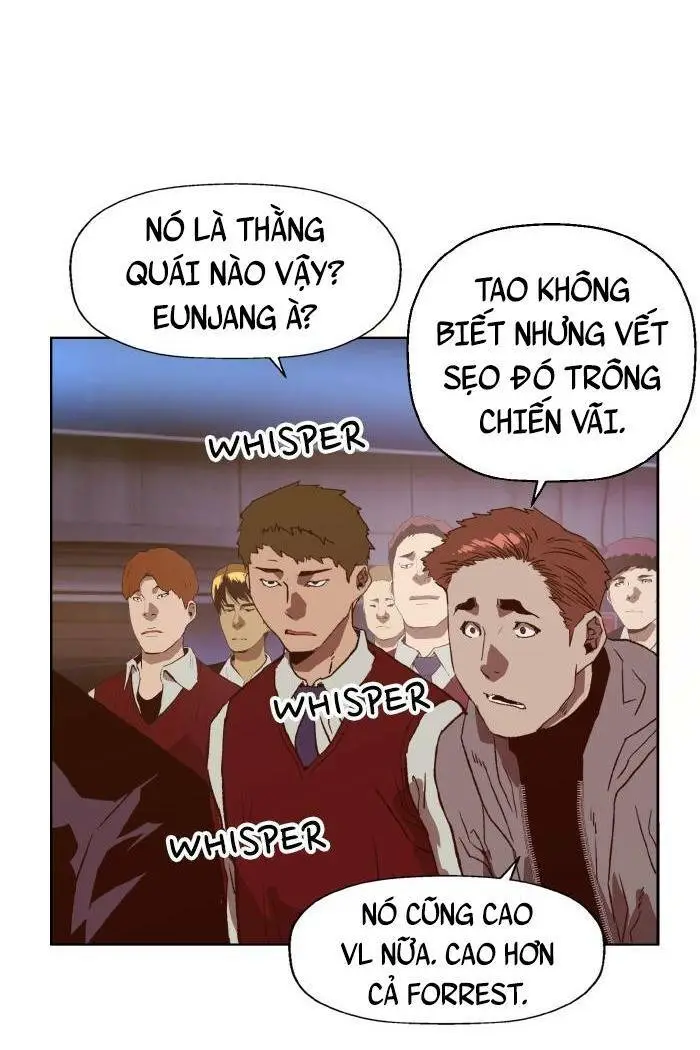 Chapter 224
