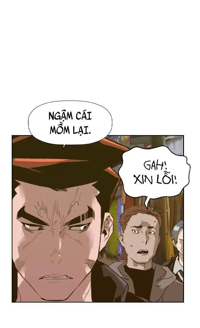 Chapter 224