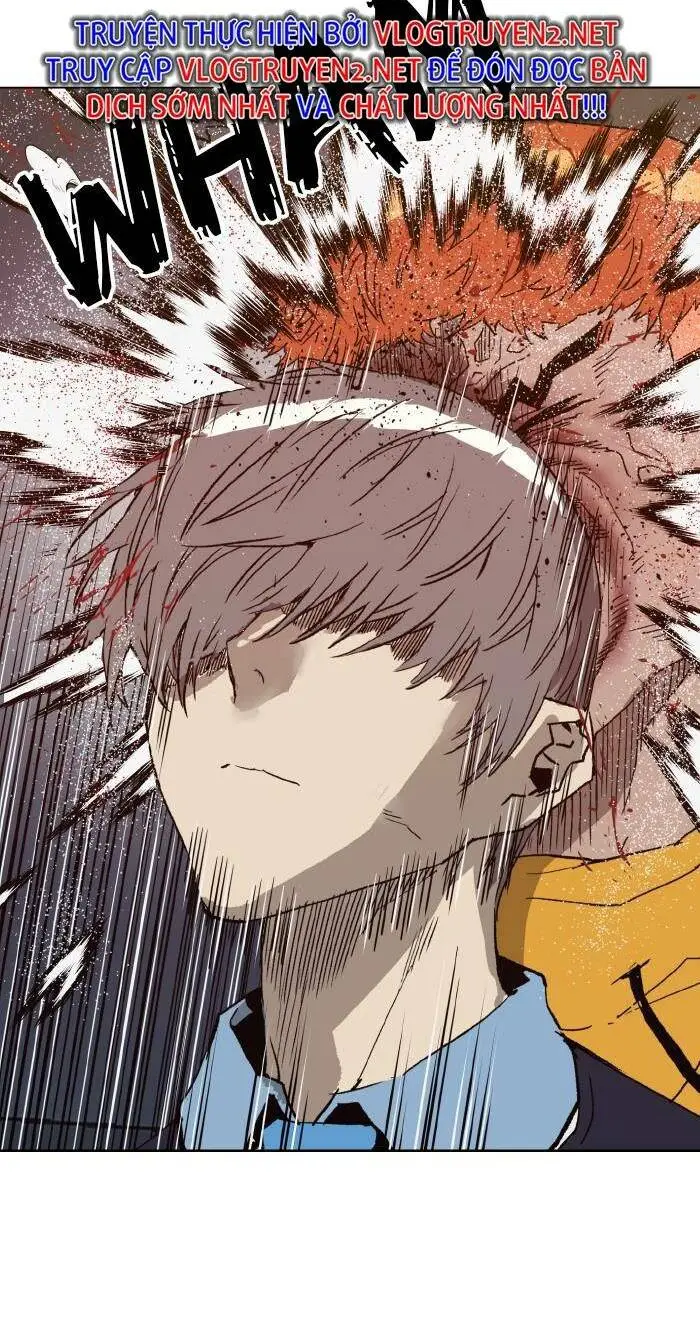 Chapter 223
