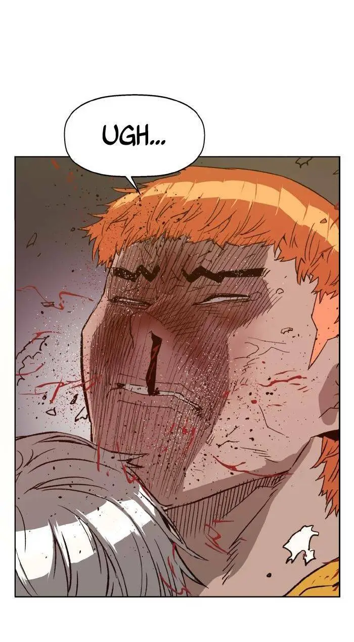 Chapter 223