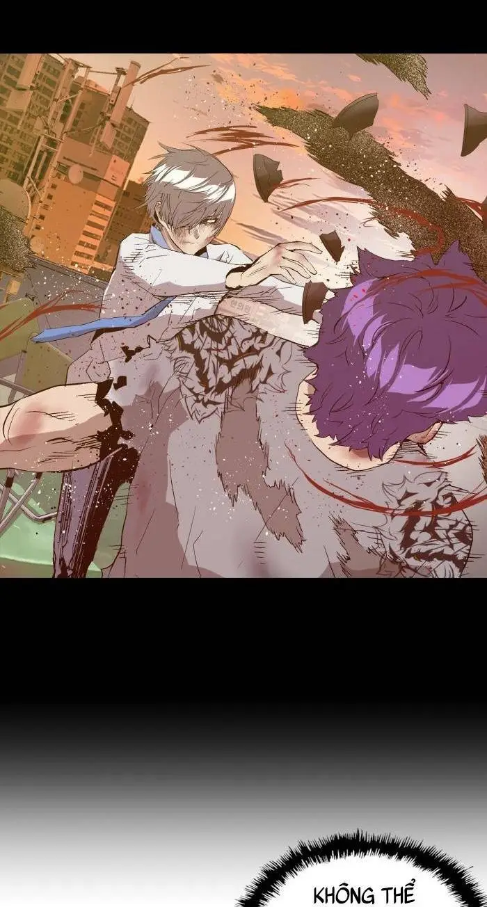 Chapter 223