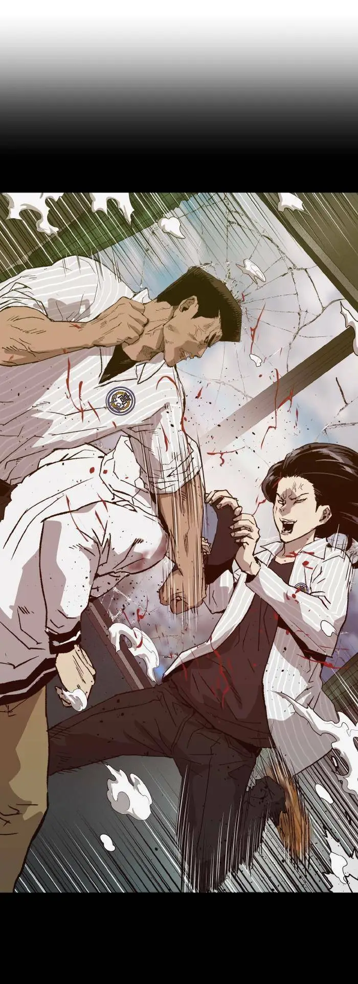 Chapter 223