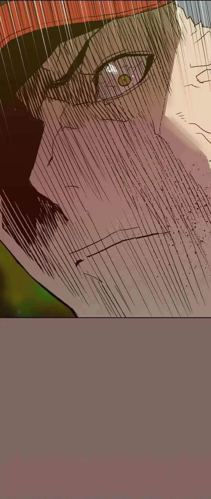 Chapter 223