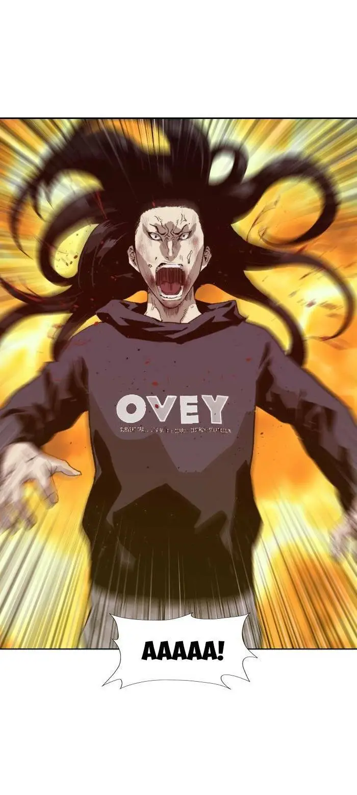 Chapter 222
