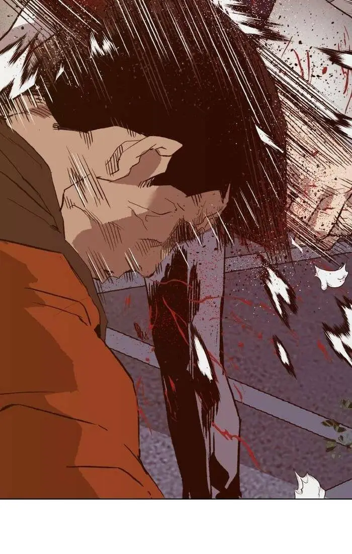 Chapter 222