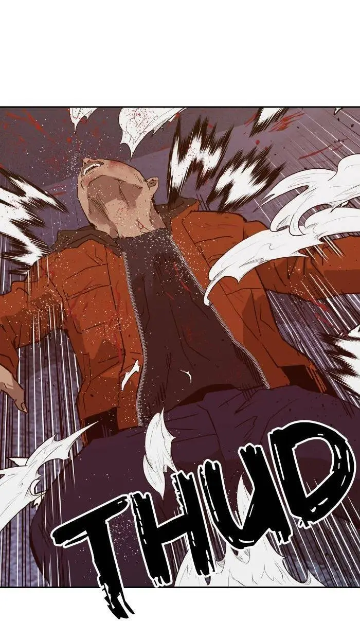 Chapter 222