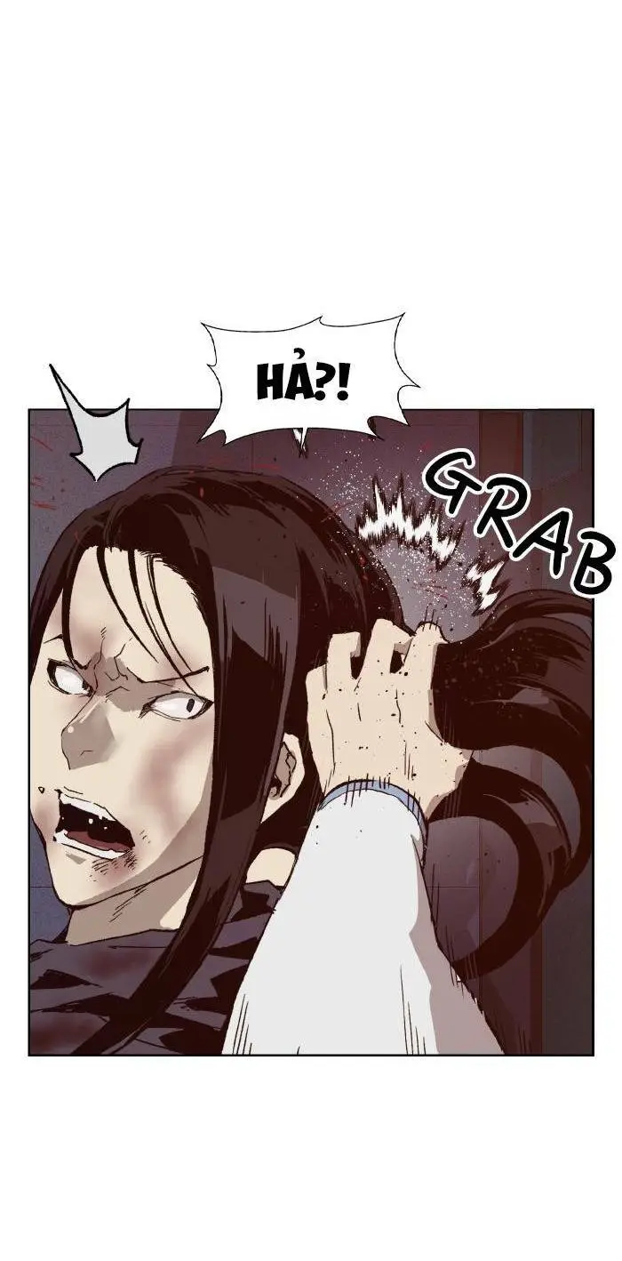 Chapter 222