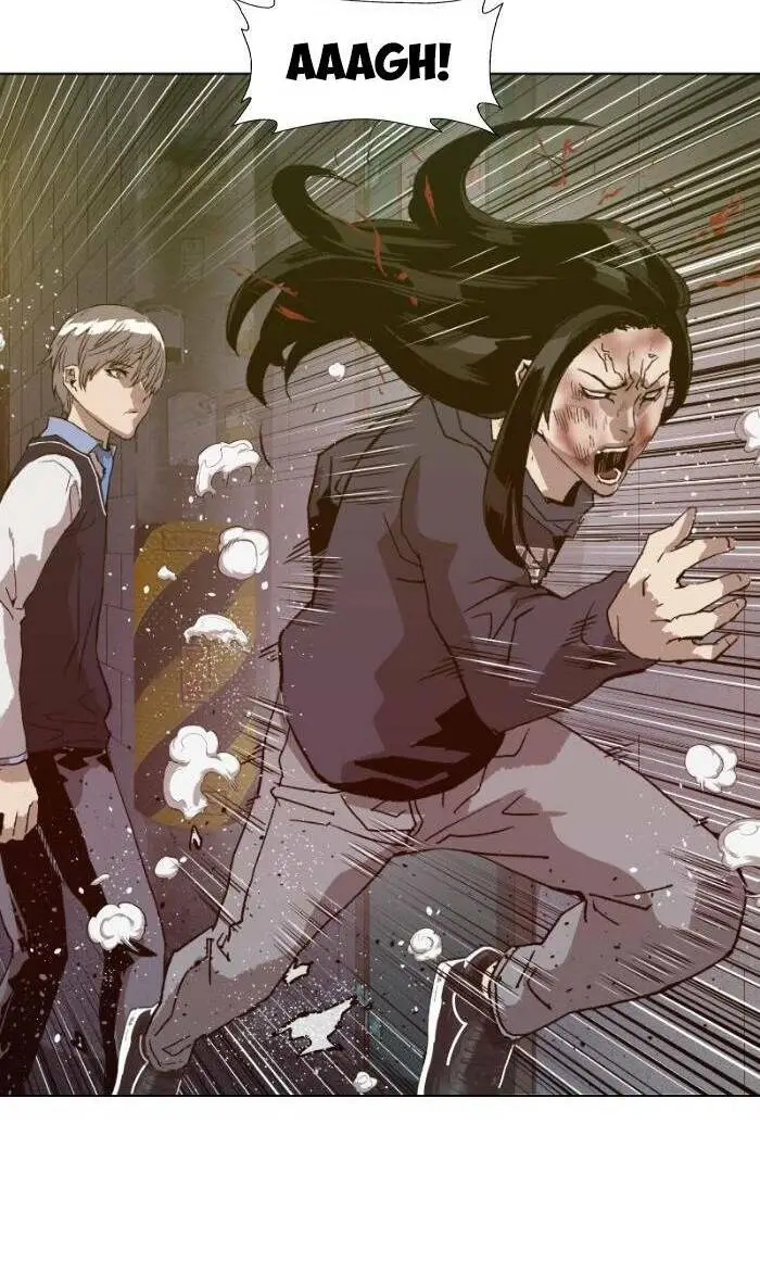 Chapter 222