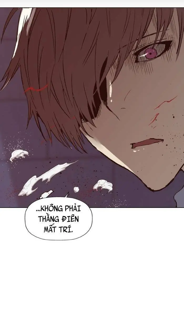 Chapter 222