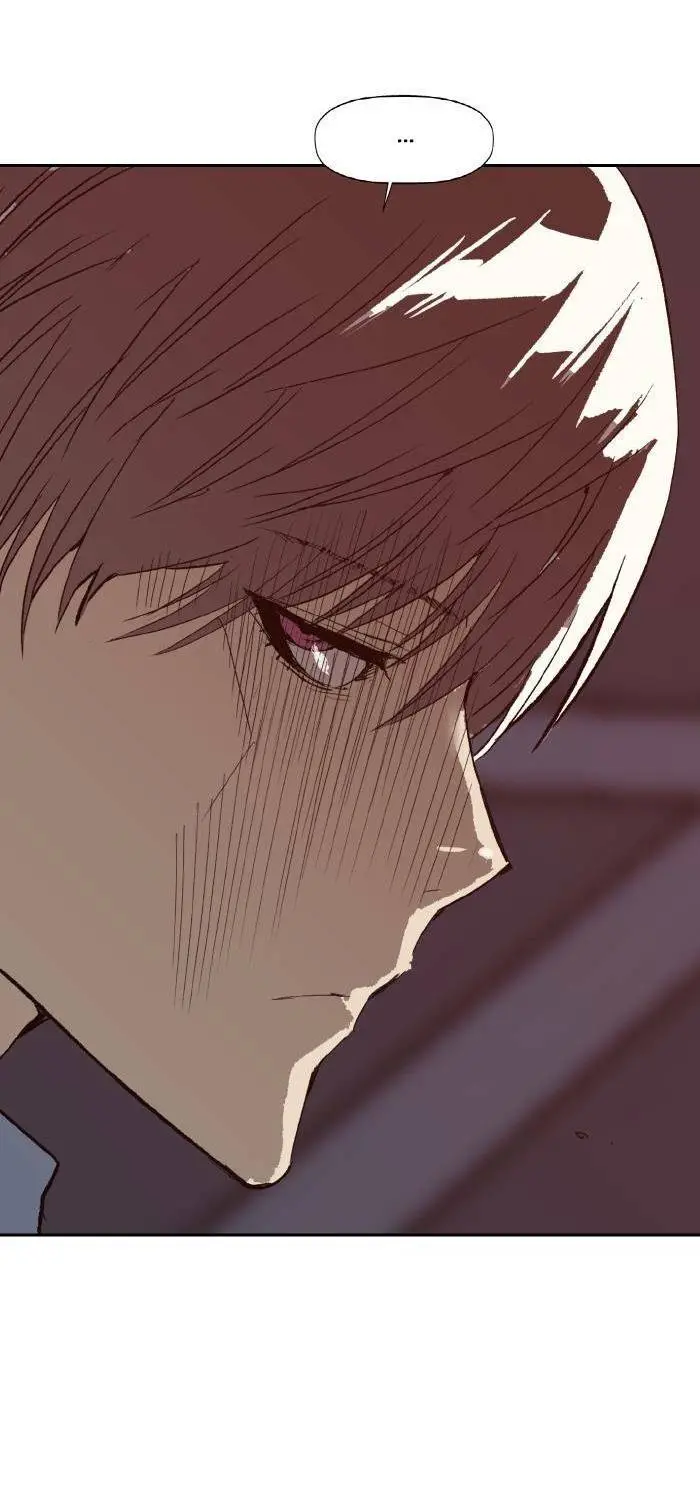 Chapter 222
