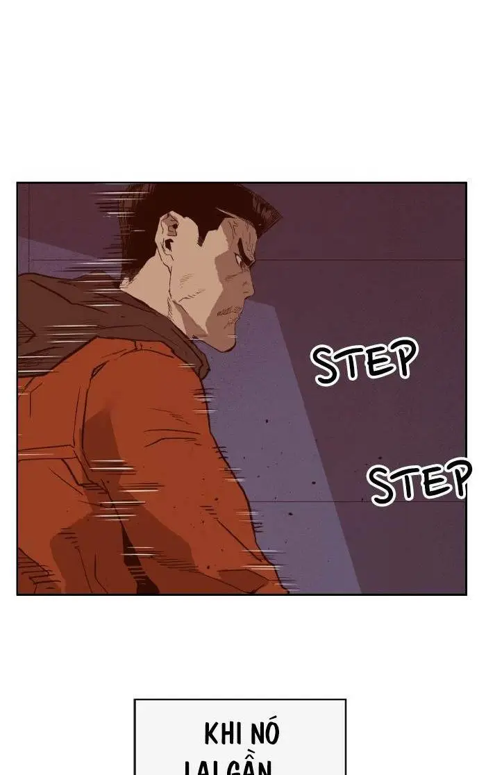 Chapter 222