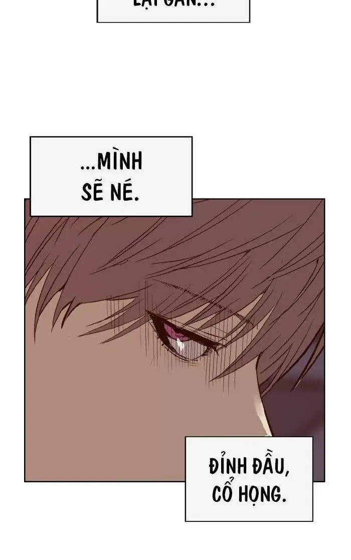 Chapter 222