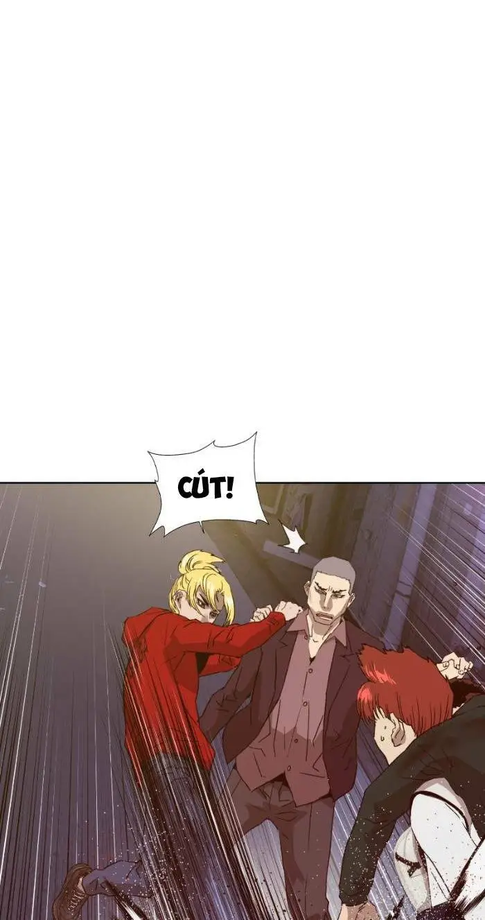 Chapter 221