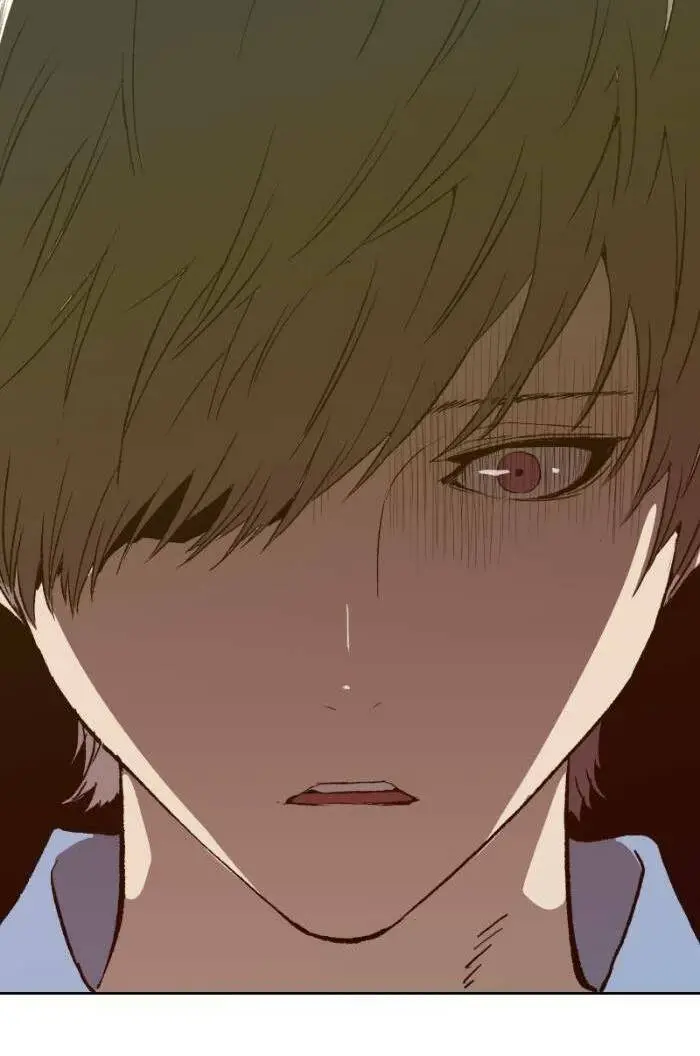 Chapter 221