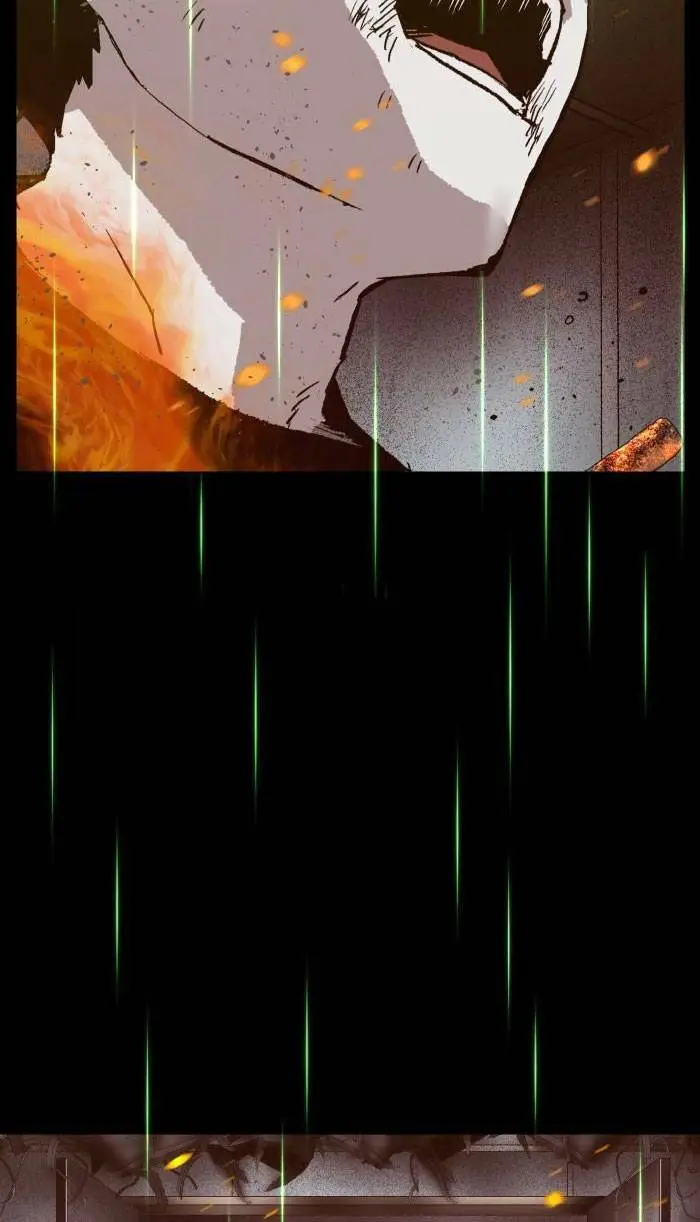 Chapter 217