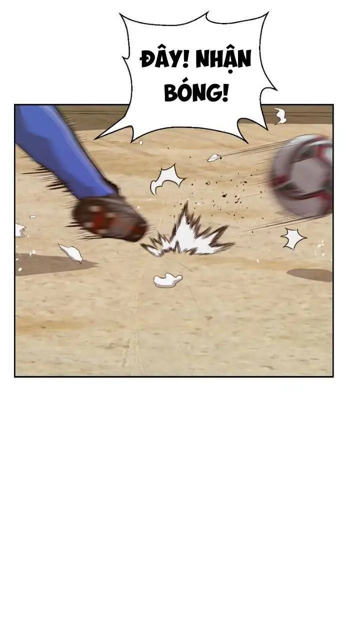 Chapter 216
