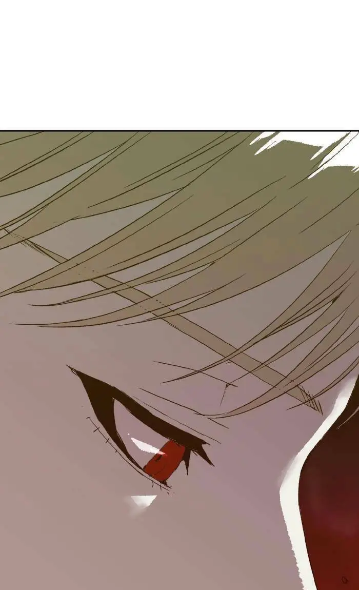 Chapter 215