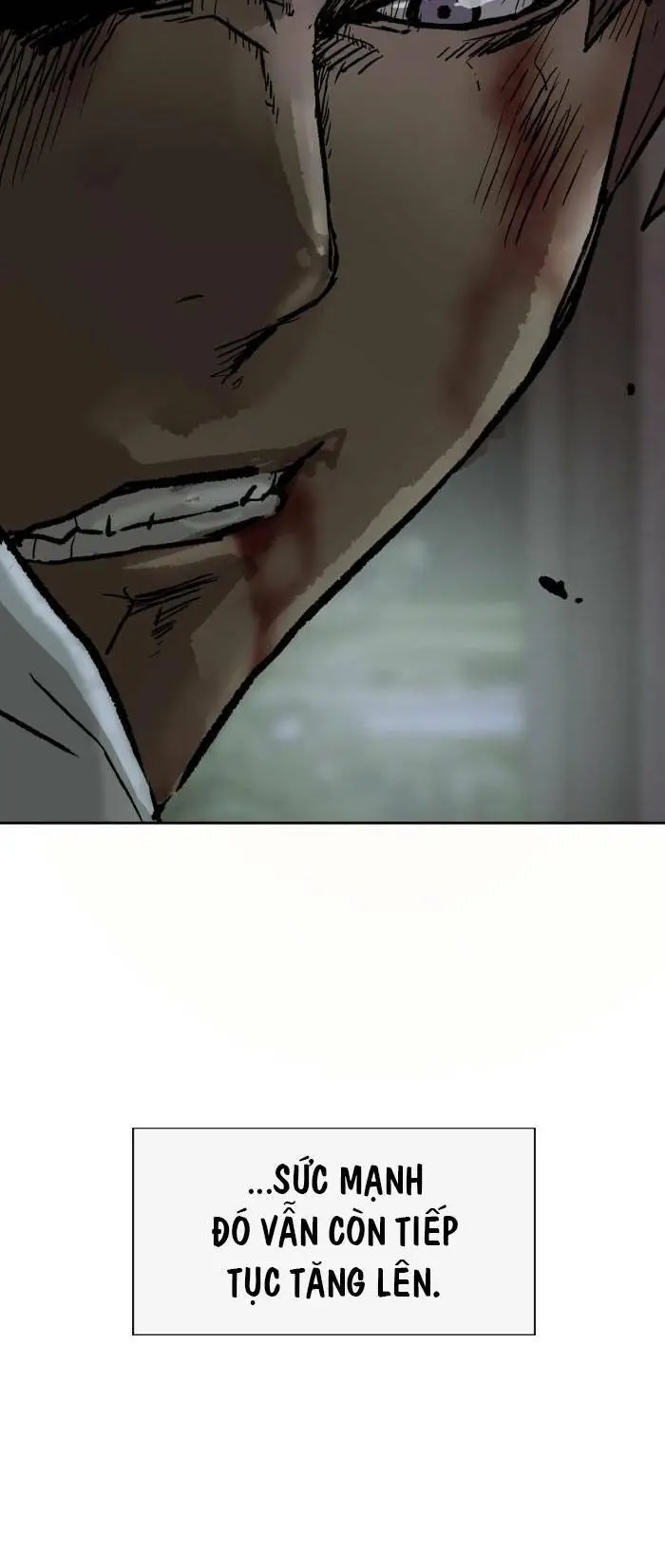 Chapter 213